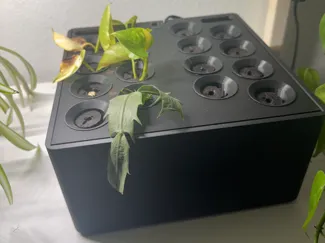 Hydrostation seed starter
