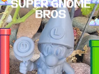 Super Gnome Brother