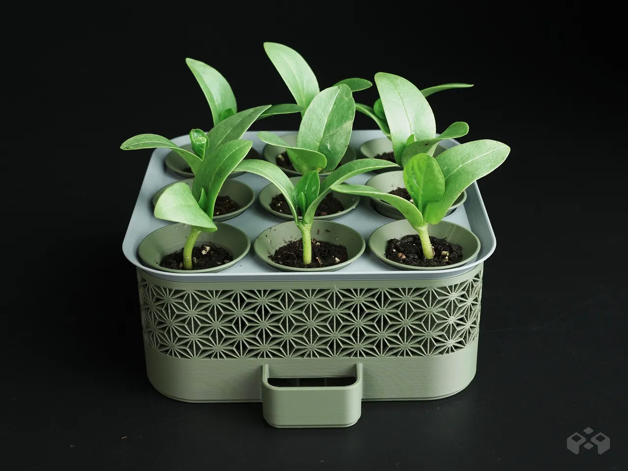 Self Watering Seed Starter with Greenhouse Cover view 4