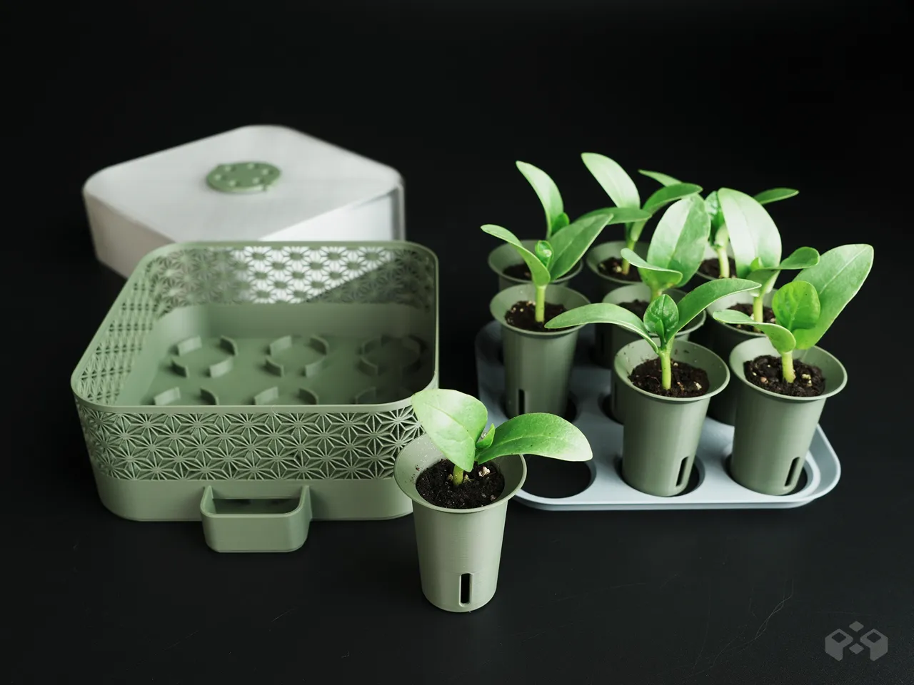 Self Watering Seed Starter with Greenhouse Cover view 3