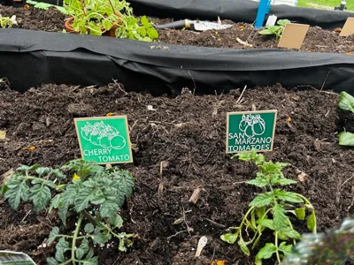 Animal Crossing-Style Plant Markers