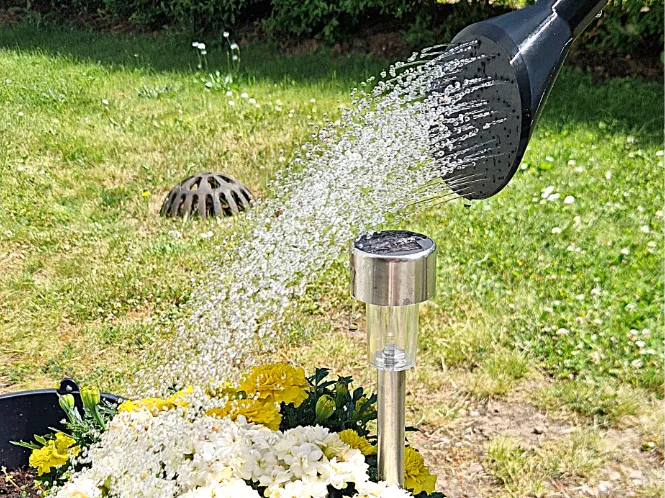 Watering can strainer