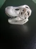 50% scale Dinosaur head fossil