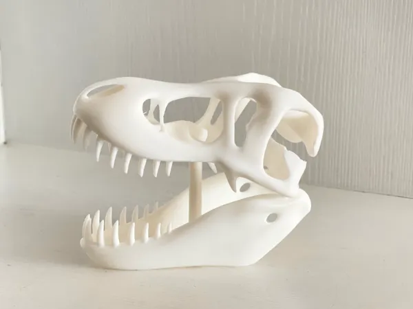 https://makerworld.bblmw.com/makerworld/model/USddf908b15e11bf/design/2025-02-19_251e02a97de7f.jpg