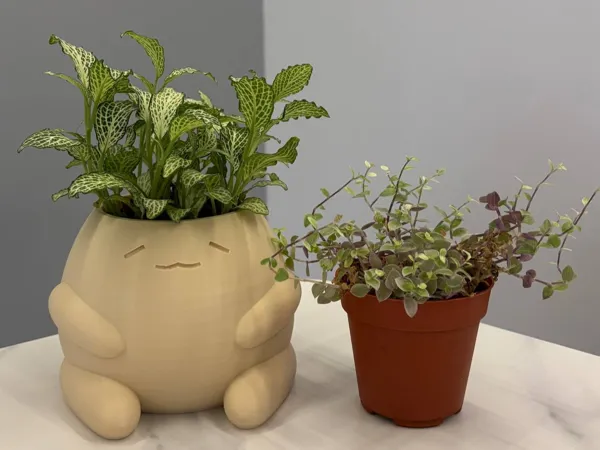 https://makerworld.bblmw.com/makerworld/model/USddfa32fa41f85/design/2025-09-13_8c44c3f9068db.jpg