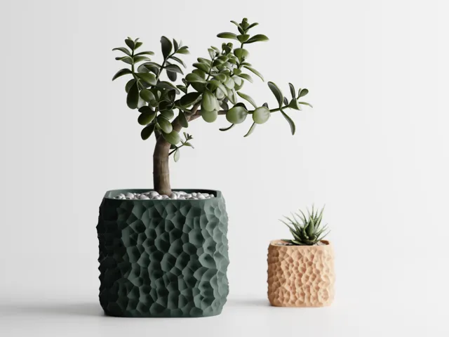 Plant Pot TerraForma