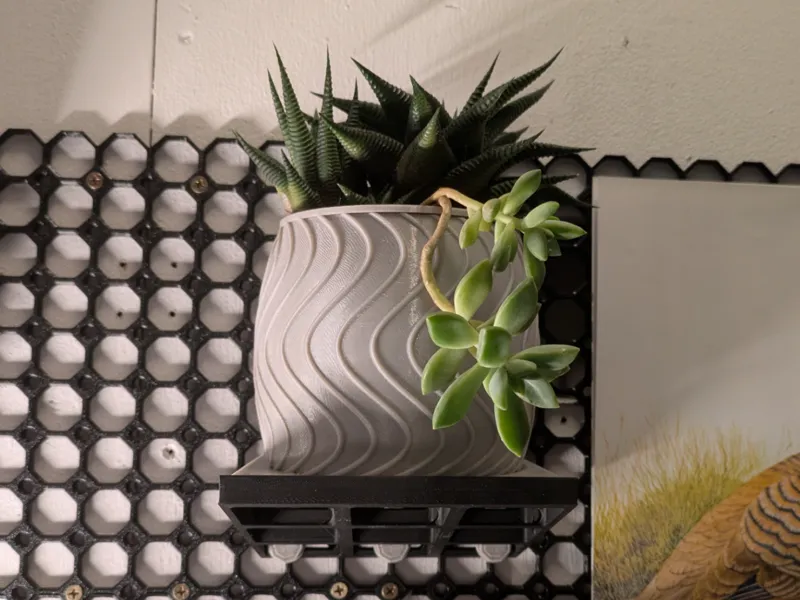 Plantfinity - Self Watering Plant Pot