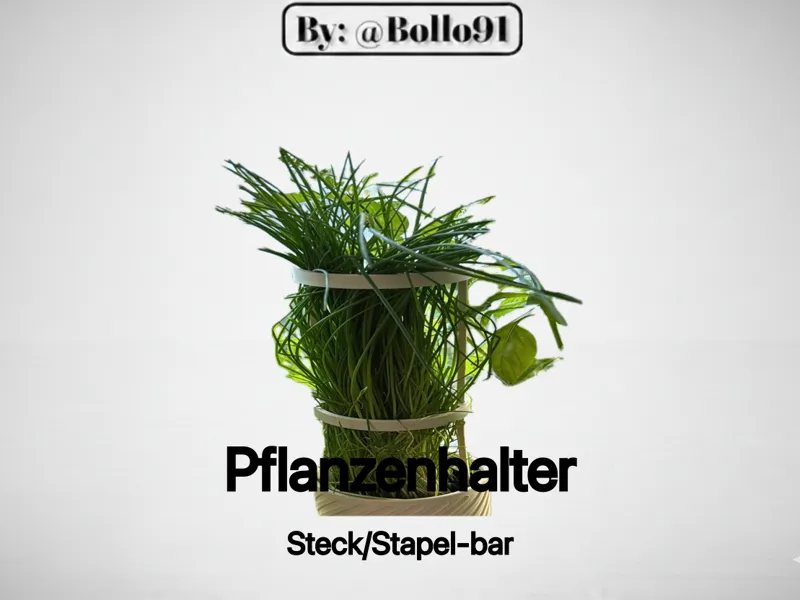 Pflanzenhalter/ring