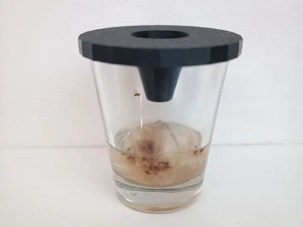 https://makerworld.bblmw.com/makerworld/model/USde02a10dc011da/design/2024-07-28_9ee66a911d89d.jpg