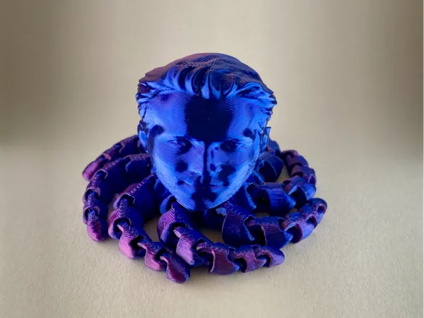 https://makerworld.bblmw.com/makerworld/model/USde04b60fdd0ac1/design/2025-06-03_53a8daeae368b8.jpg