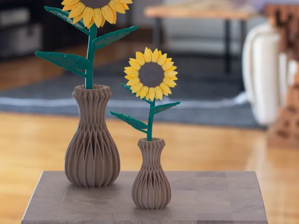 https://makerworld.bblmw.com/makerworld/model/USde0657cbbe8576/design/9edfb924269307a1.png