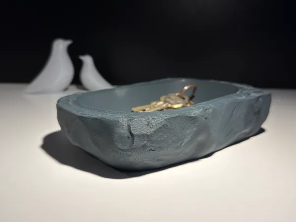 https://makerworld.bblmw.com/makerworld/model/USde06958d219d76/design/2026-01-09_25f41893cda44.jpg