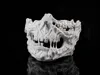 Horror Skull Mask With Strap Holes