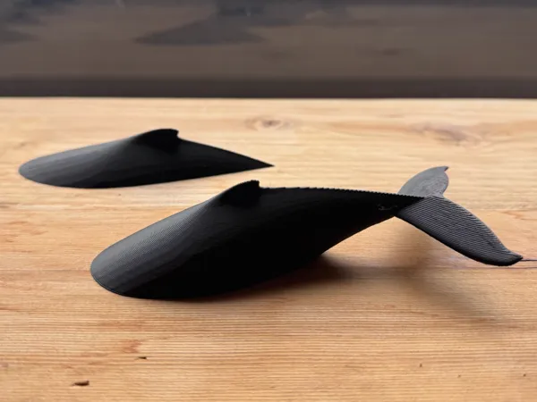 https://makerworld.bblmw.com/makerworld/model/USde0be4663dadba/design/2025-02-20_1fb9e2e1e0652.jpg