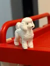Poodle - Multi-color