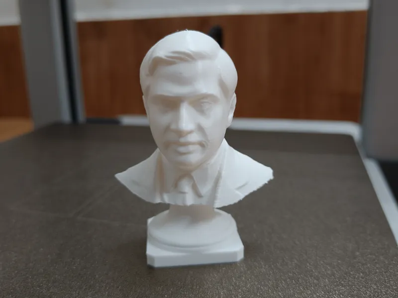 Bust - Srinivasa Ramanujan