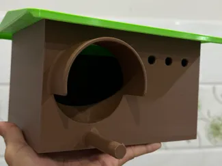 Bird Nest