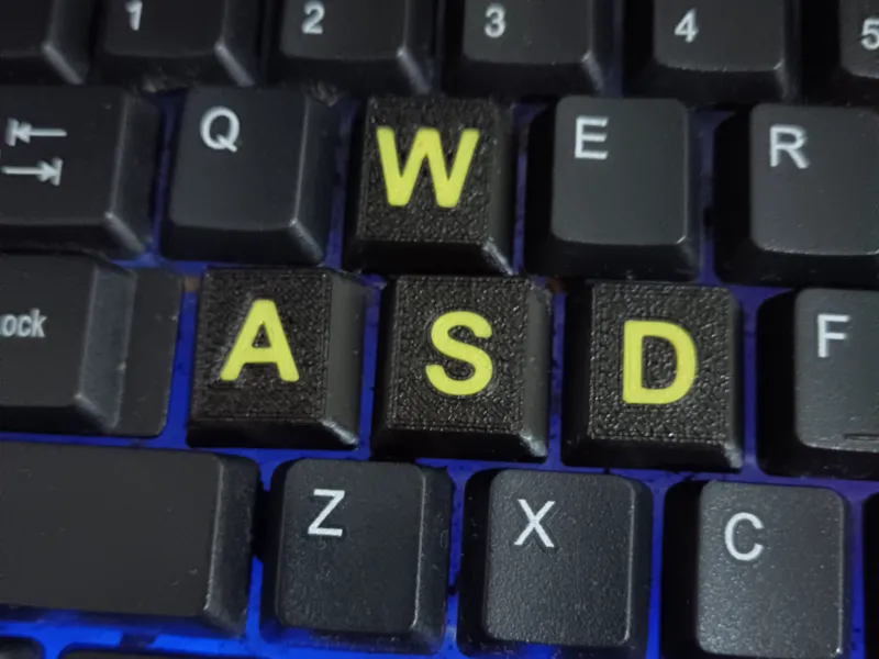 W A S D keys for keyboard