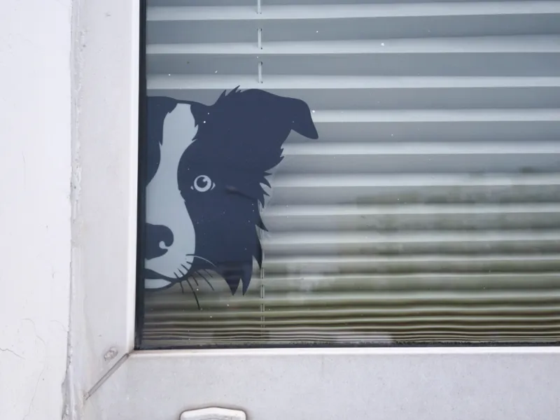 BORDER COLLIE WINDOW ART