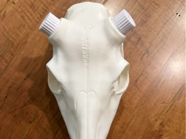 https://makerworld.bblmw.com/makerworld/model/USde1dfdad4c8bd3/design/1b86943cefb3eab1.jpg