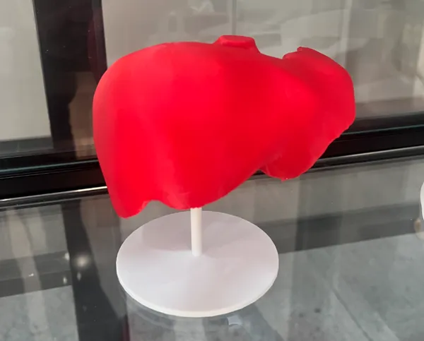 https://makerworld.bblmw.com/makerworld/model/USde1fc0b48d8f04/design/2024-11-27_fe873959b178f.jpg