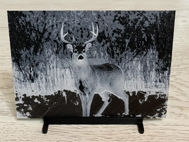 Whitetail Deer