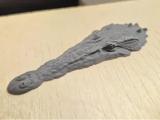 crocodile on water surface