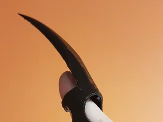 claw