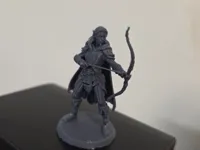 Rôdeur elfe (DnD) — photo 2