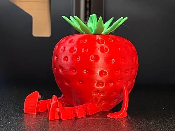 https://makerworld.bblmw.com/makerworld/model/USde3ceaf80ed817/design/2025-05-24_1d881bcf43ee1.jpeg