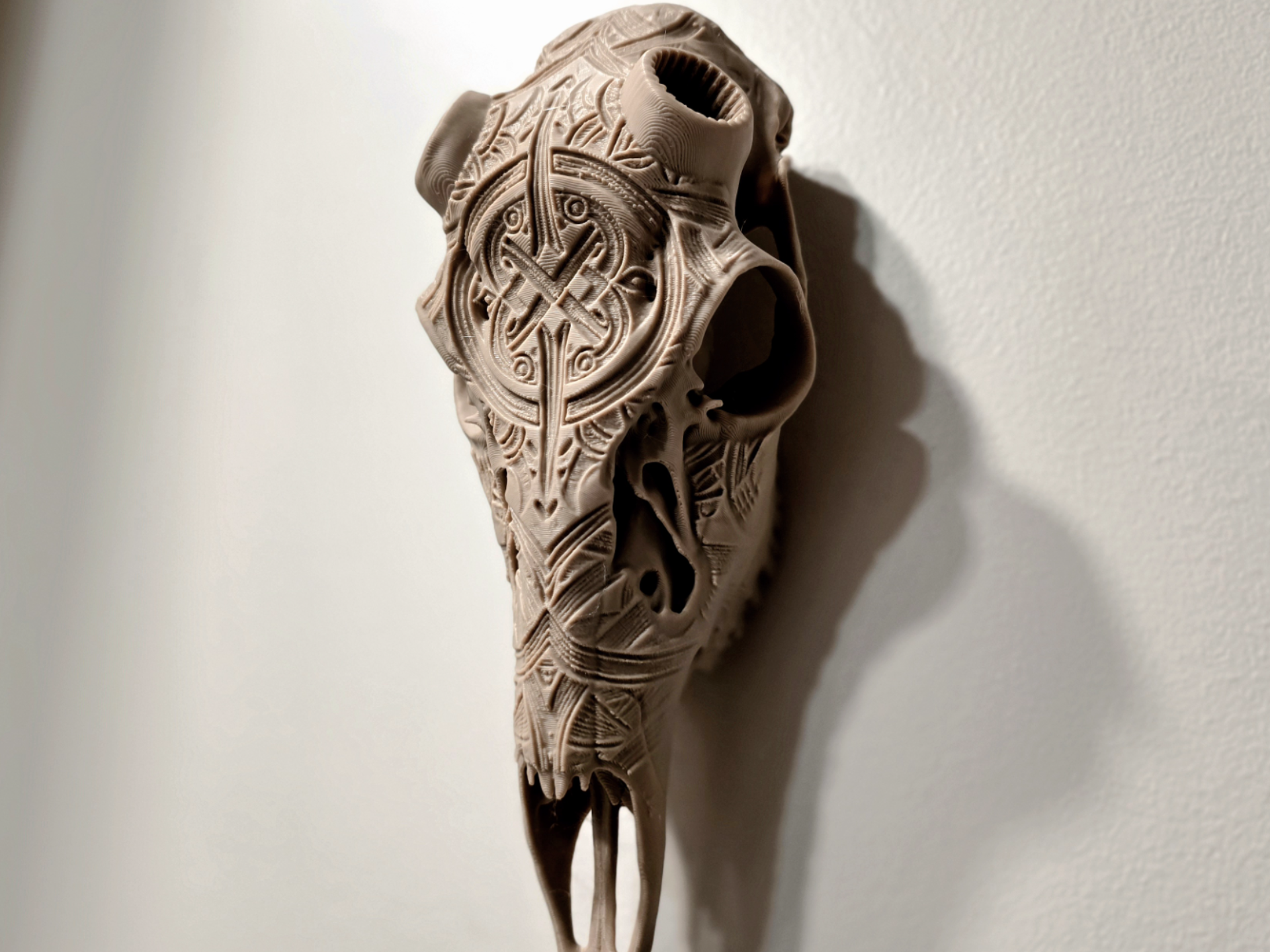 "The Old One" BAS Deer Skull Antler Mount