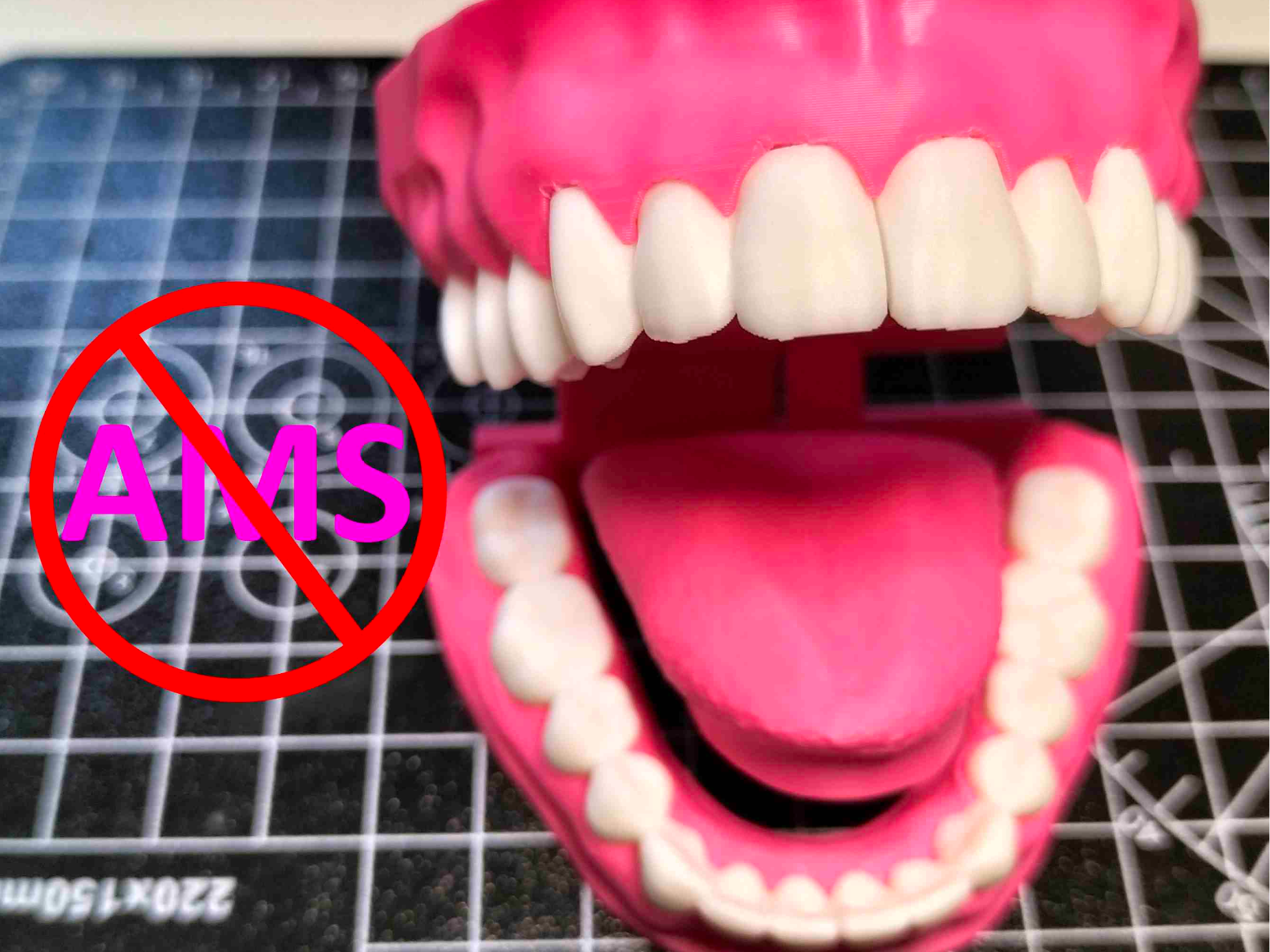 NO AMS V2 Zahnmodelle mehrfarbig+Zunge (foldable) 