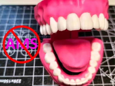 NO AMS V2 multicolored tooth models+Tongue (foldable)