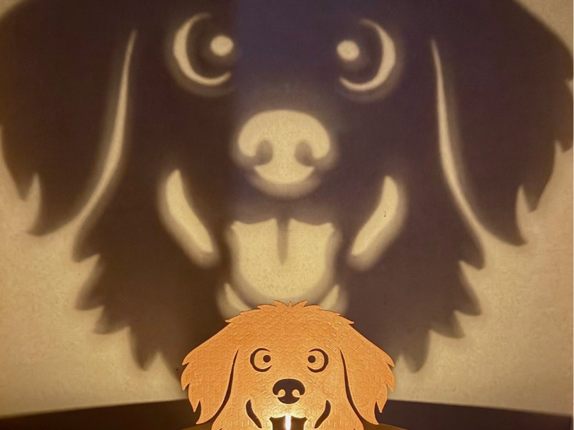 Dog Shadow Light