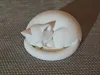 Sleeping Cat