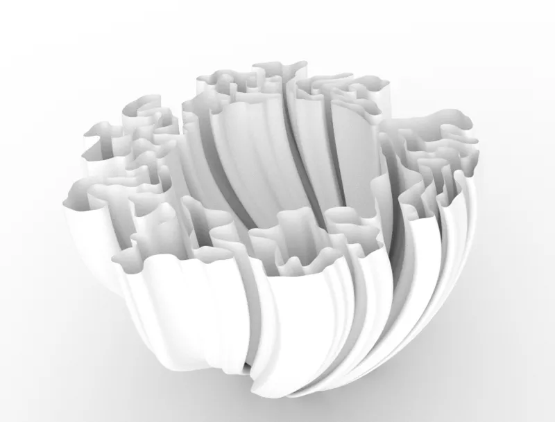 Vase Flower Curve Artistic