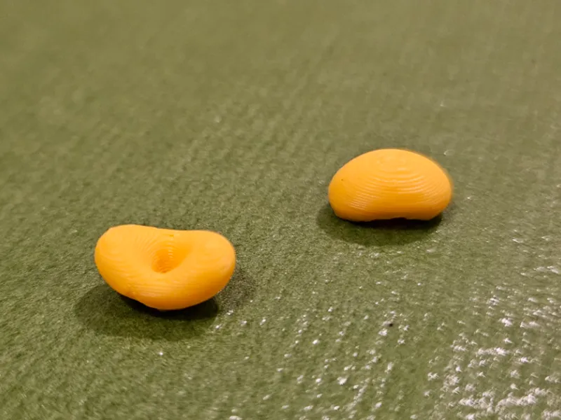 Bean