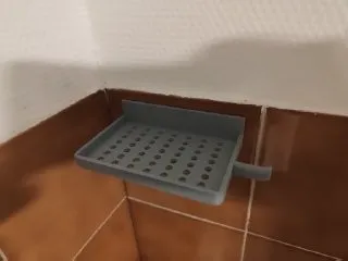 support éponge + brosse