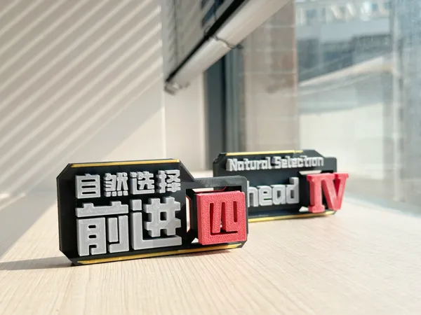 https://makerworld.bblmw.com/makerworld/model/USde505f39e61351/design/2024-04-13_c75487bc15c79.jpg