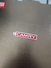 Camery Keyring