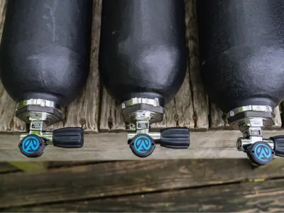 Avelo Dust Cap
