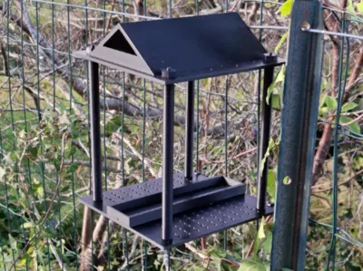 Bird Feeder