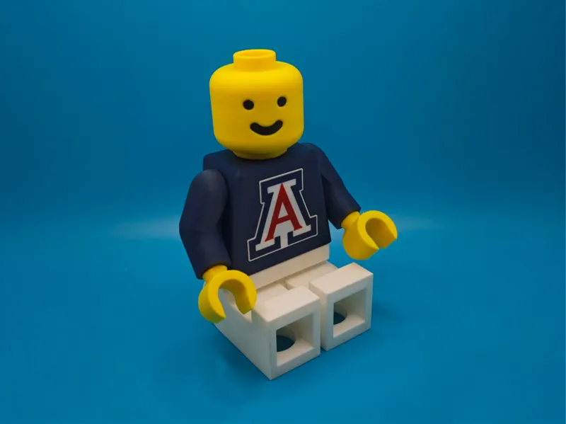 Brick Man - University of Arizona