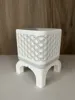 Two Color - With Brims to Improve Adhesion