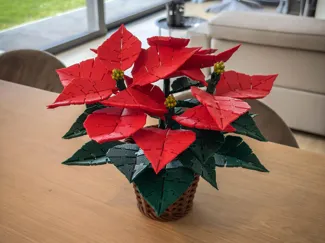 Flexi Christmas flower (Poinsettia)