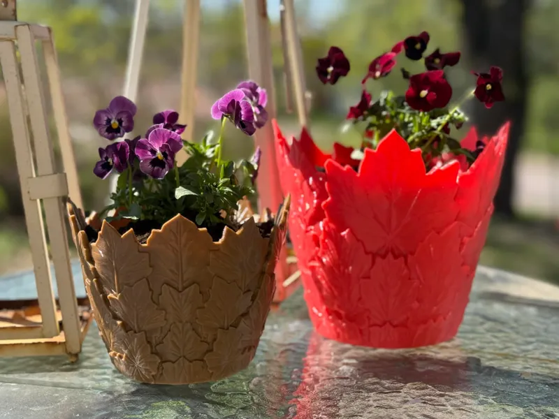 Maple crown planter
