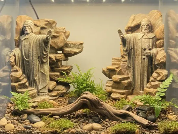 https://makerworld.bblmw.com/makerworld/model/USde673d751e56f6/design/30e58ed782b5fcb7.jpg