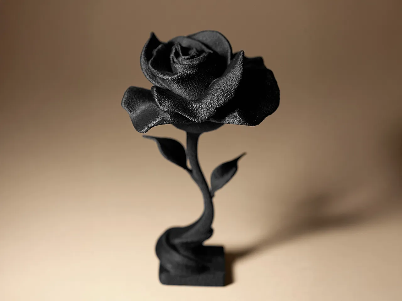 Rose decor view 4