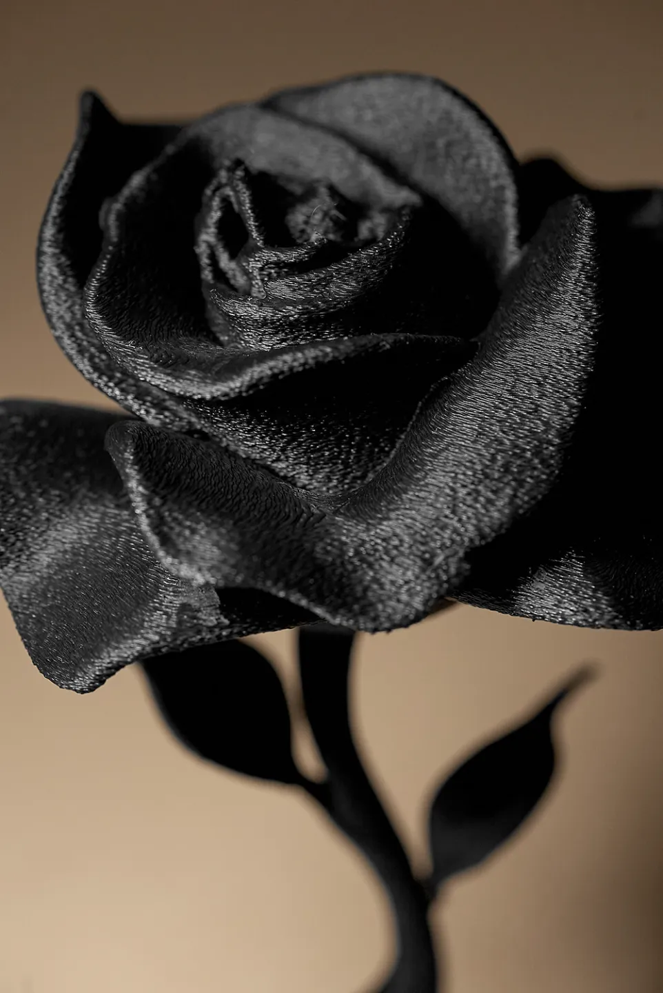 Rose decor view 3