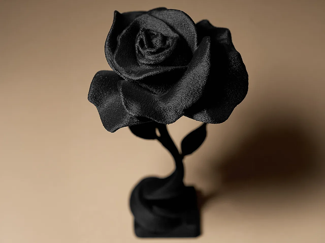 Rose decor view 2